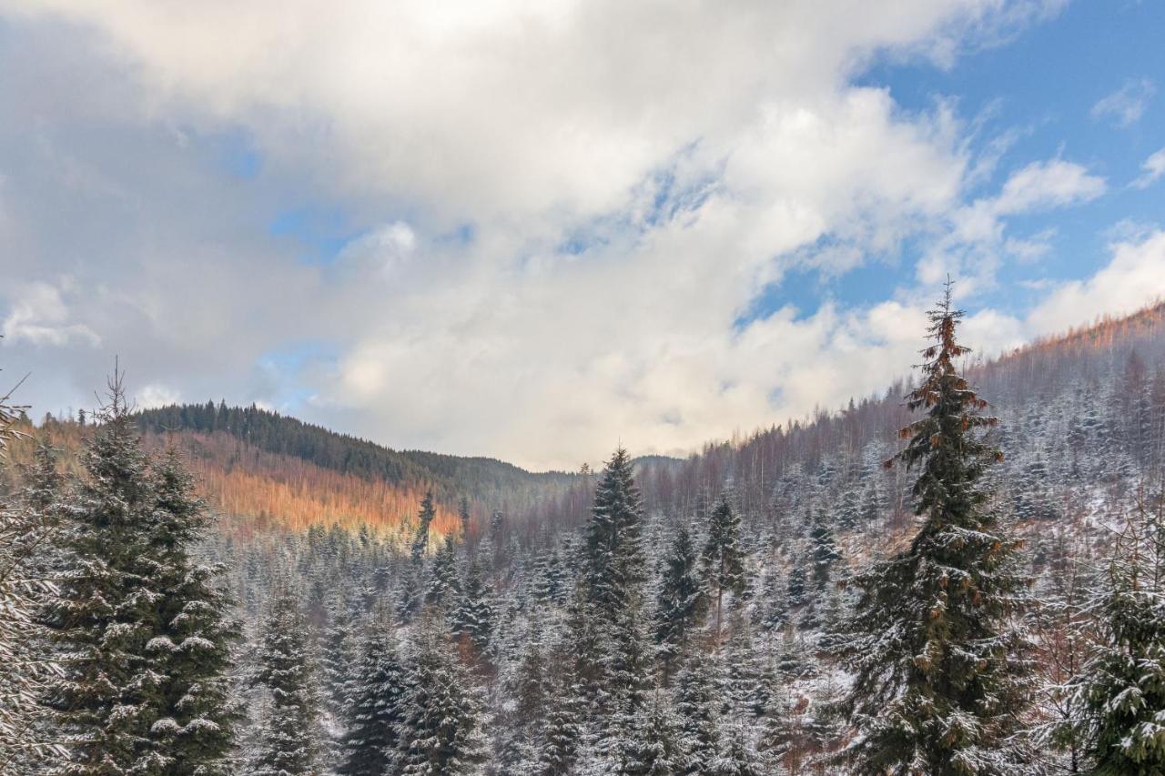 Konopka Forest Home Bukovel Eksteriør billede