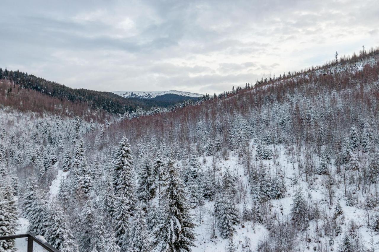 Konopka Forest Home Bukovel Eksteriør billede